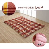 イケヒコ 衛生寝具 ソフィア 掛布団 1500×2100mm レッド 1201351243503 1枚（直送品）