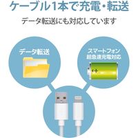 エレコム Lightningケーブル/スタンダード/1.0m/ホワイト MPA-UAL10WH 1個（直送品）