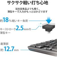 Bluetoothミニキーボード/薄型/メンブレン式/抗菌/マルチペアリング対応/ブラック/簡易パッケージ TK-FBM119KBK/EC（直送品）