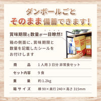 【非常食】ピースアップ 3日分(9食)非常食セットA4サイズBOX入り 10001686 1セット
