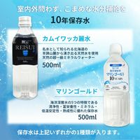 【デラックス】熱中症対策キットDX (レッド) クーラーバッグに入った応急処置セット(水分補給/塩分/保存水/防災/非常用)（直送品）