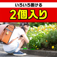 蟻 アリ 駆除 毒餌剤 置き型 スーパーアリの巣コロリ蟻の巣 対策 退治 あり 殺虫剤 家 室内 部屋  1パック（2個入） アース製薬（直送品）
