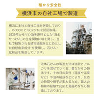 詰替用　ナチュロンハンドソープＮ　450mL　1個　太陽油脂　泡　無添加　天然由来100%　せっけん
