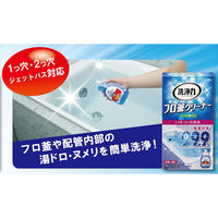 エステー 洗浄力（センジョウリキ） フロ釜クリーナー