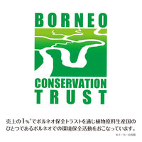 ヤシノミ洗剤 キッチン泡ハンドソープ 本体 250ml 1個 サラヤ