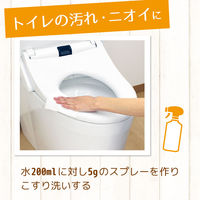 激落ちくん クエン酸 400g レック