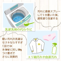 激落ちくん セスキ炭酸ソーダ 500g レック