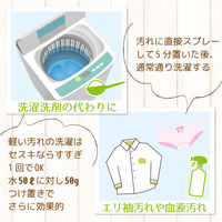 激落ちくん セスキ炭酸ソーダ 500g 掃除 1セット（2個） レック (C00131)
