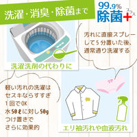 激落ちくん セスキ炭酸ソーダ 除菌プラス 300g レック