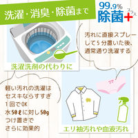 激落ちくん セスキ 炭酸ソーダ 除菌 プラス 300g 掃除 1セット（2個） レック (C00154)