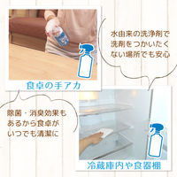 激落ちくん アルカリ 電解水 泡 スプレー 掃除 400ml レック (C00156)