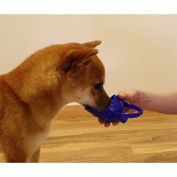 おでかけボトルキャップ君 ブルー ドギーマン 1個