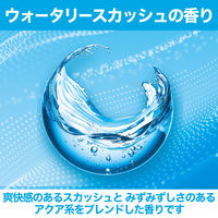 エステー クルマの消臭力 シート下専用 ウォータリースカッシュ 1セット（2個）