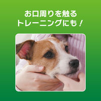 ペットキッス（PETKISS）犬猫用 歯みがき ジェル チキン風味 40g 国産 1本 ライオン