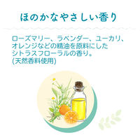 パックスナチュロン　リンス詰替Ｎ　500mL　1個　太陽油脂　せっけんシャンプー専用　トリートメント　無添加　天然由来100%