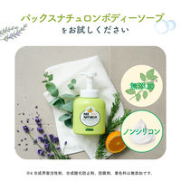 パックスナチュロン　ボディーソープ詰替Ｎ　５００ml 1個　敏感肌用　無添加　天然由来100%　せっけん　肌荒れ予防 【泡タイプ】