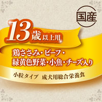 グランデリ ふっくら仕立て 13歳以上 ささみ・ビーフ・野菜 小魚・チーズ・角切りビーフ粒入 1.6kg  国産 ドッグフード 1袋