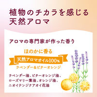 arau.（アラウ） 泡ボディソープ ポンプ 480ml 1個 サラヤ【泡タイプ】