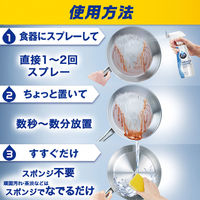 ジョイ JOY ミラクルクリーン泡スプレー フレッシュシトラス 本体 300ml 1セット（2個入） 食器用洗剤 P＆G