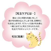 ペット用 猫様専用ふりかけ かつお節＋食物繊維 毛玉ケア 国産 25g 1袋 キャットフード 猫用 おやつ 鰹節