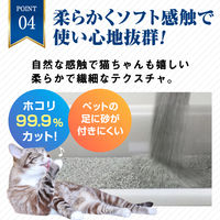 猫砂 オードロック 無香料 超高品質なネコ砂 8秒で固まる 消臭効果約40日 6kg 3袋