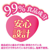 黒カビ 洗浄剤 掃除 らくハピ 自動製氷機 コーヒーメーカー 洗浄除菌剤 4包入 除菌 製氷機クリーナー アース製薬