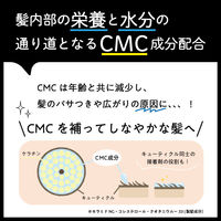 アミノマスター プロフェッショナル シャンプー 500ml デザインボトル ときわ商会