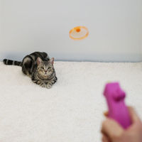 キャティーマン じゃれ猫 にゃんコプター 3個 ドギーマンハヤシ 猫用 おもちゃ