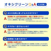 オキシクリーンEX 詰め替え 2000g  粉末 酸素系漂白剤 1個 大容量 消臭 漂白 洗濯 掃除