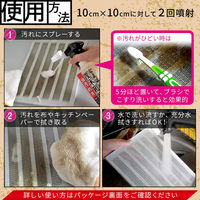 茂木和哉 油汚れ用洗剤 なまはげ 320ml 1個 きれい研究所