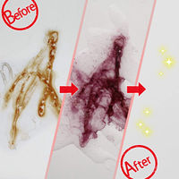 茂木和哉 「 サビ落とし 」 スプレー 掃除 ジェル 200ml 低臭タイプ レック (C00256)