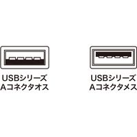 サンワサプライ 5m延長USBアクティブリピーターケーブル KB-USB-R205N 1個（直送品）