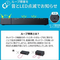 サンワサプライ ギガビット対応 スイッチングハブ(24ポート・マグネット付き) LAN-GIGAP2402BK 1個（直送品）