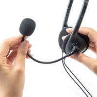 サンワサプライ 4極対応ヘッドセット MM-HS406BK 1個