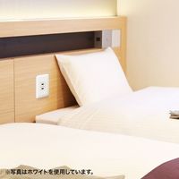 サンワサプライ USB2ポートUSB給電用コンセント ブラック色 TAP-KJUSB2BK 1個（直送品）