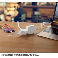 サンワサプライ マイクロタップ 2個口 1m ホワイト TAP-M61W 1個