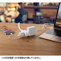 延長コード 電源タップ 0.2m 2P（ピン） 3個口 ライトグレー TAP-M702W サンワサプライ 1個