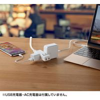 延長コード 電源タップ 0.2m 2P（ピン） 4個口 ライトグレー TAP-M802W サンワサプライ 1個（直送品）