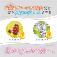 アミノマスターディープリペア トリートメント ポンプ 500g ときわ商会