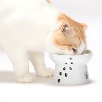 ハッピーダイニング 脚付フードボウル シリコン付き 猫柄 猫壱