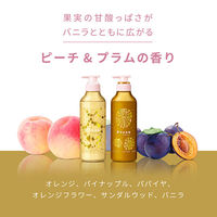 ピュアン サークル シャンプー 詰め替え 340ml 2個　花王