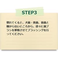 シグワン 猫用 コンパクト 歯ブラシ 全猫種対応 ビバテック
