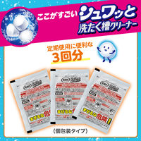 洗浄力 シュワッと洗たく槽クリーナー 除菌 消臭 個装タイプ 3回分 エステー