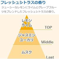 消臭力 自動でシュパッと 消臭芳香剤 電池式 玄関・部屋用 フレッシュシトラスの香り つけかえ 39mL 2個セット エステー