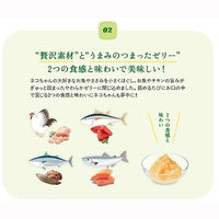 モンプチ（MonPetit）キャットフード ナチュラルキッス 11歳以上用総合栄養食 まぐろ入りまぐろゼリー 40g（10g×4本）3袋