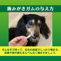 ペットキッス 食後の歯みがきガム シニア 超小型犬用 国産 20本入 3袋 ドッグフード おやつ デンタルケア