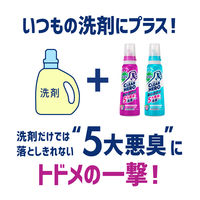 ワイドハイター クリアヒーロー CLEAR HERO 消臭ジェル フレッシュグリーン 本体 570ml 1個 衣料用洗剤 花王