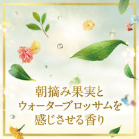 ラックス(LUX) スーパーリッチシャイン ボタニカルシャイン 光沢シャンプー 詰め替え 330g 2個