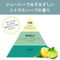 【WEB限定】アミノメイソン スカルプ＆リペア ホイップクリーム シャンプー 450mL ステラシード