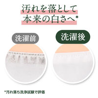 さらさ 洗濯洗剤 液体 詰め替え 特大 1200g 1セット（2個入） P&G